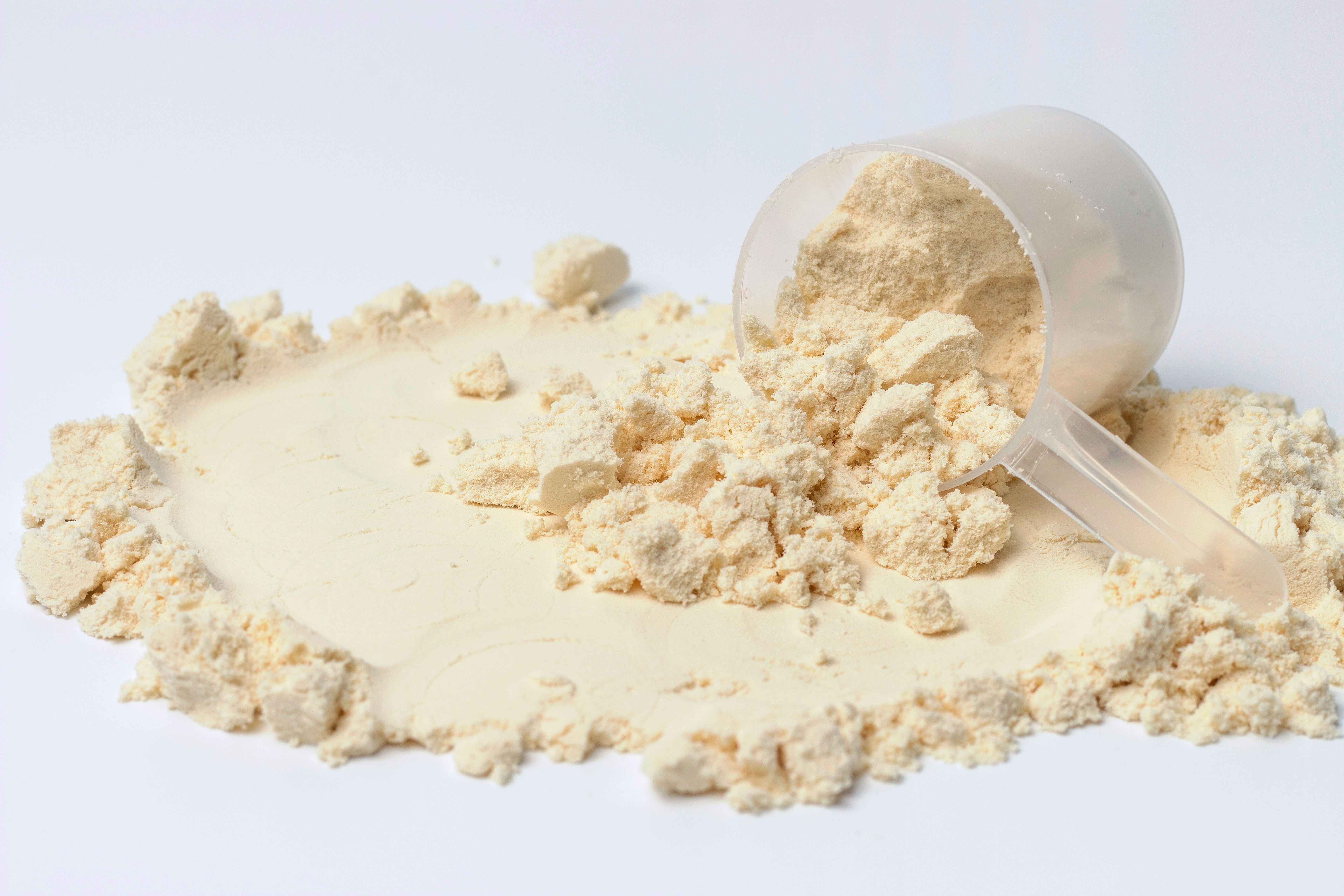 Macadamia protein powder display